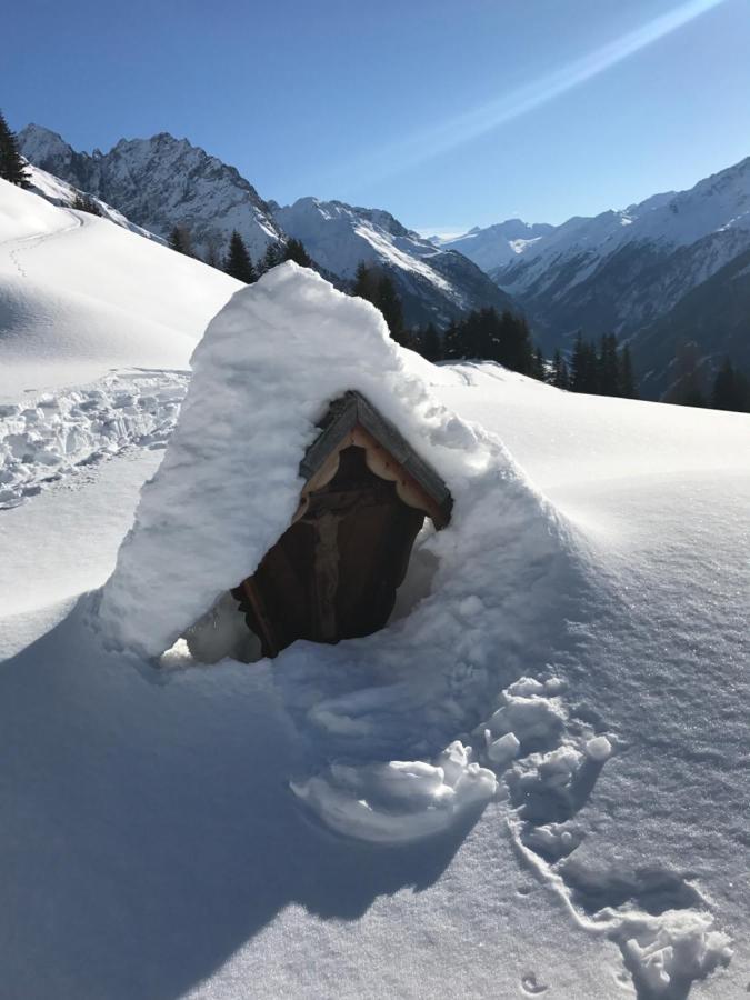 Alpindesign Kaunertal Cameră foto